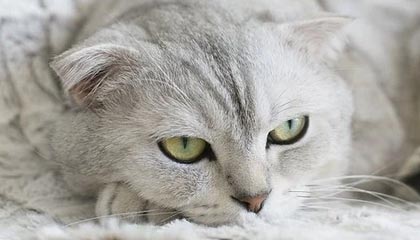 YY易游体育官网-完美配合：球队一体作战，夺得了令人瞩目的胜利！