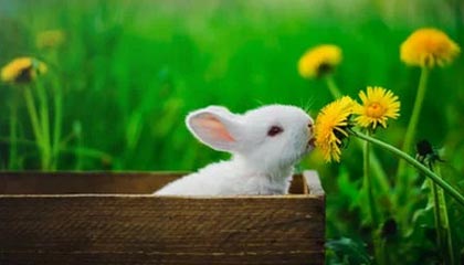 YY易游体育官网-完美配合：球队一体作战，夺得了令人瞩目的胜利！