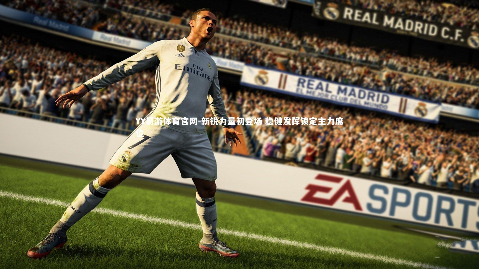 新锐力量初登场 稳健发挥锁定主力席位